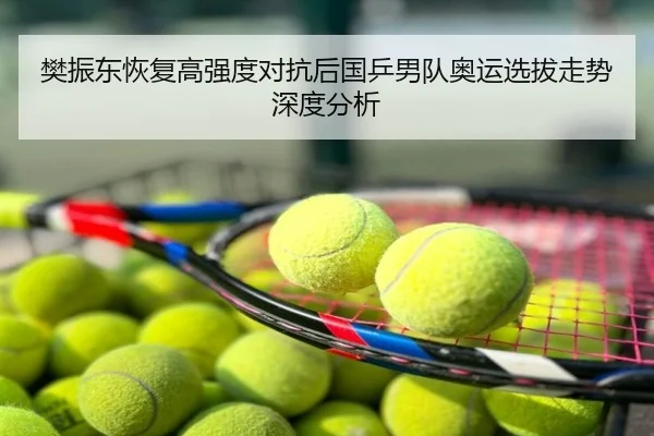 樊振东恢复高强度对抗后国乒男队奥运选拔走势深度分析